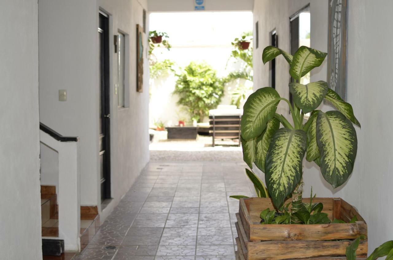 Hotel Nicte Ha Tulum Extérieur photo